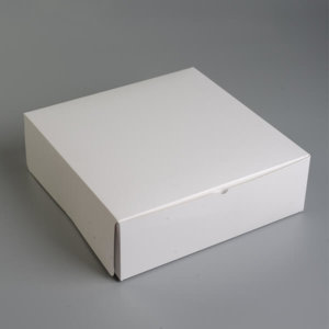 plain Self lock white color box - The Shape Factory